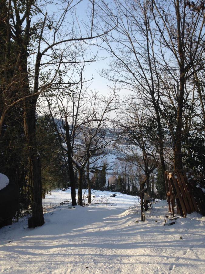 Villa 225 Bracciano  外观 照片
